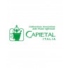 Capietal Italia