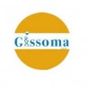 Gissoma srl