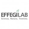 Effegilab srl