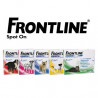 Frontline