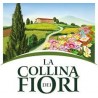 La collina dei fiori