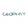 Geophyt