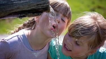 I migliori fermenti lattici per bambini: come sceglierli?