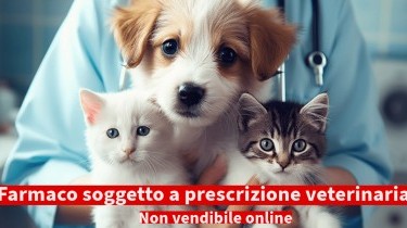 Cefalexina veterinaria: indicazioni e posologia