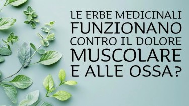 Dolori articolari e muscolari: le erbe medicinali