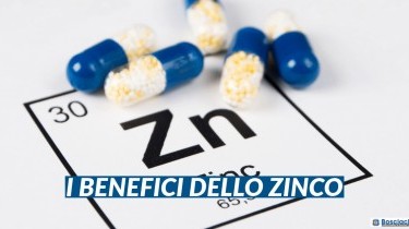 Zinco: benefici, a cosa serve e come assumerlo