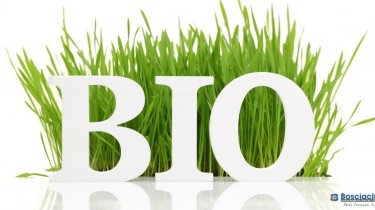 Alimenti bio online: tutto ciò che vuoi su Bosciaclub