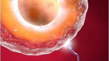 Sos maschio: crollo degli spermatozoi