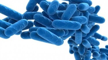 Legionella sintomi e prevenzione