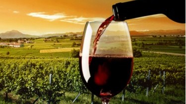 Bere vino rosso aiuta a bruciare i grassi